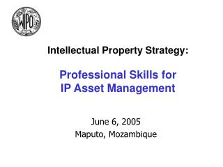 Intellectual Property Strategy: Professional Skills for IP Asset Management