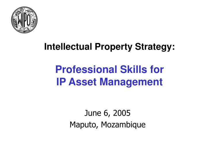 intellectual property strategy professional skills for ip asset management
