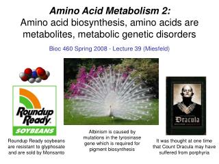 Amino Acid Metabolism 2: Amino acid biosynthesis, amino acids are metabolites, metabolic genetic disorders