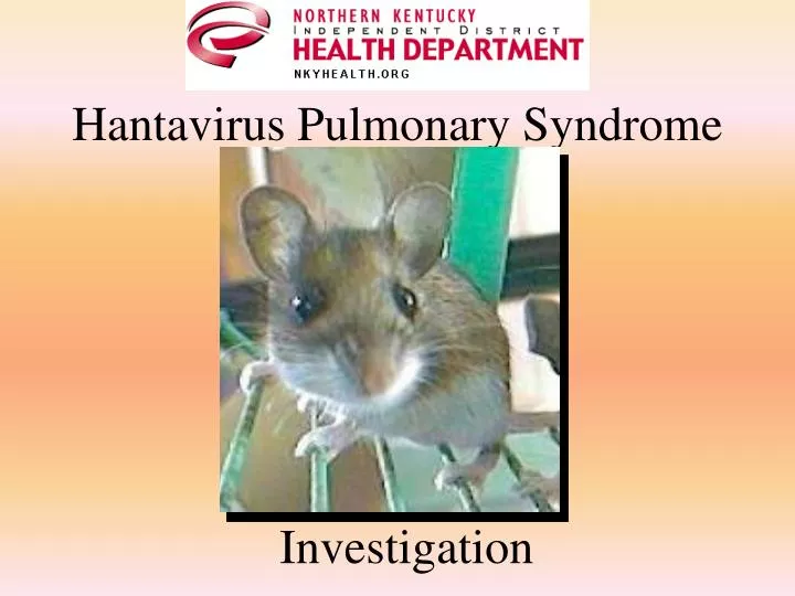 hantavirus pulmonary syndrome