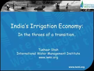 India’s Irrigation Economy:
