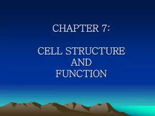 CHAPTER 7: CELL STRUCTURE AND FUNCTION