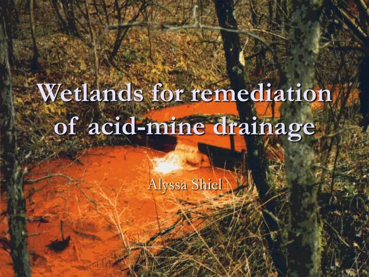 wetlands for remediation of acid mine drainage
