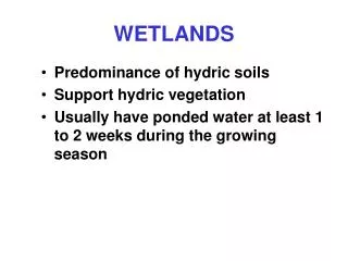 WETLANDS