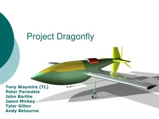 Project Dragonfly