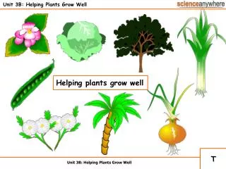 Unit 3B: Helping Plants Grow Well