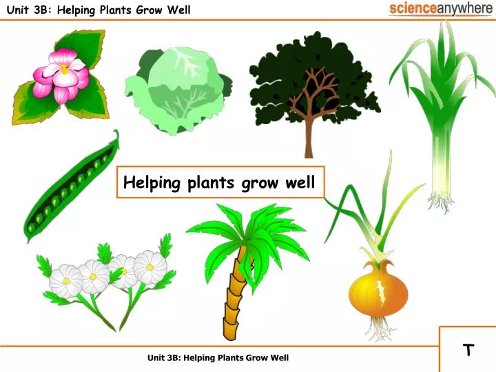 unit 3b helping plants grow well