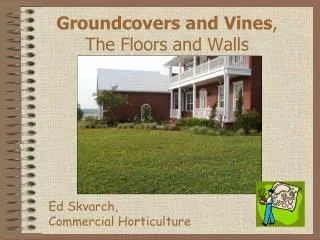 Groundcovers and Vines , The Floors and Walls
