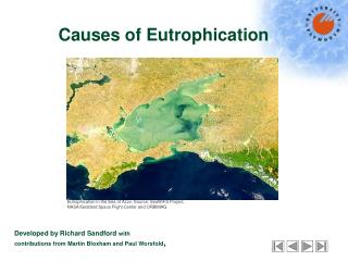 Causes of Eutrophication