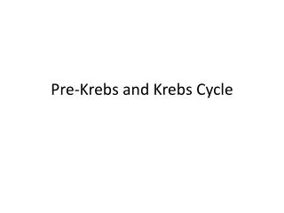 Pre-Krebs and Krebs Cycle