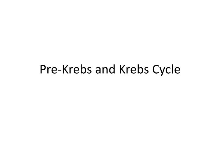pre krebs and krebs cycle