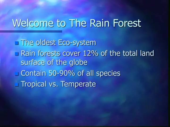 welcome to the rain forest