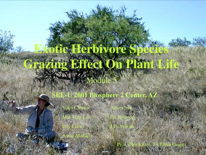 exotic herbivore species grazing effect on plant life