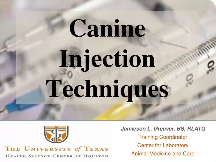 canine injection techniques