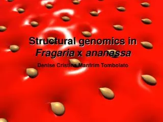 Structural genomics in Fragaria x ananassa Denise Cristina Manfrim Tombolato