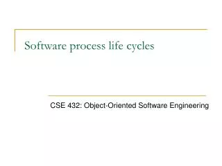 Software process life cycles