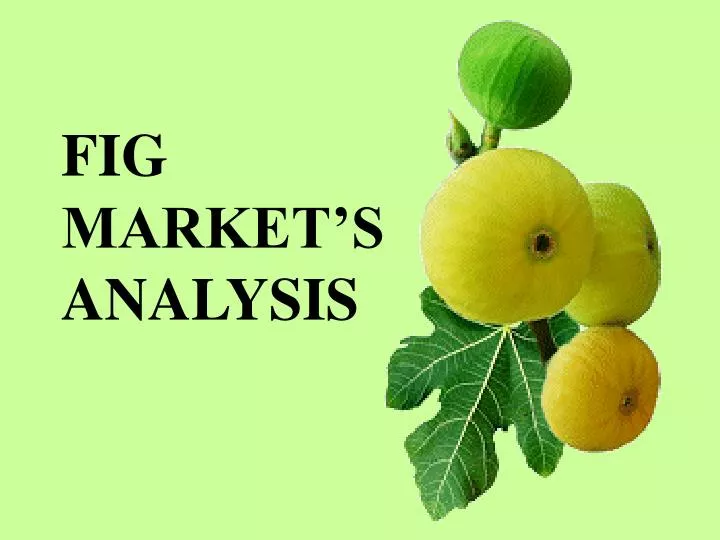 fig market s analysis