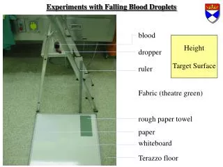 Experiments with Falling Blood Droplets