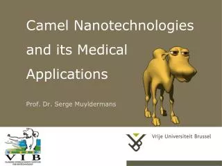 Camel Nanotechnologies and its Medical Applications