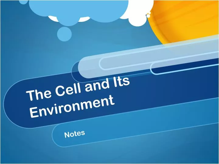 the cell and its environment