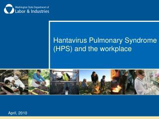 Hantavirus Pulmonary Syndrome (HPS) and the workplace