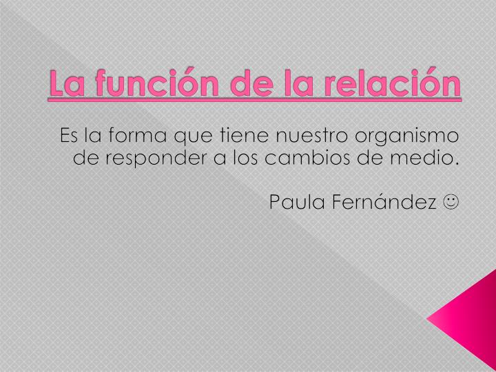 PPT - La Función De Relación PowerPoint Presentation, Free Download ...