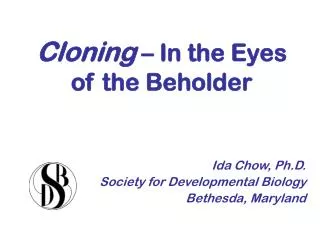 Cloning – In the Eyes of the Beholder