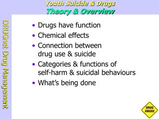 Youth Suicide &amp; Drugs Theory &amp; Overview