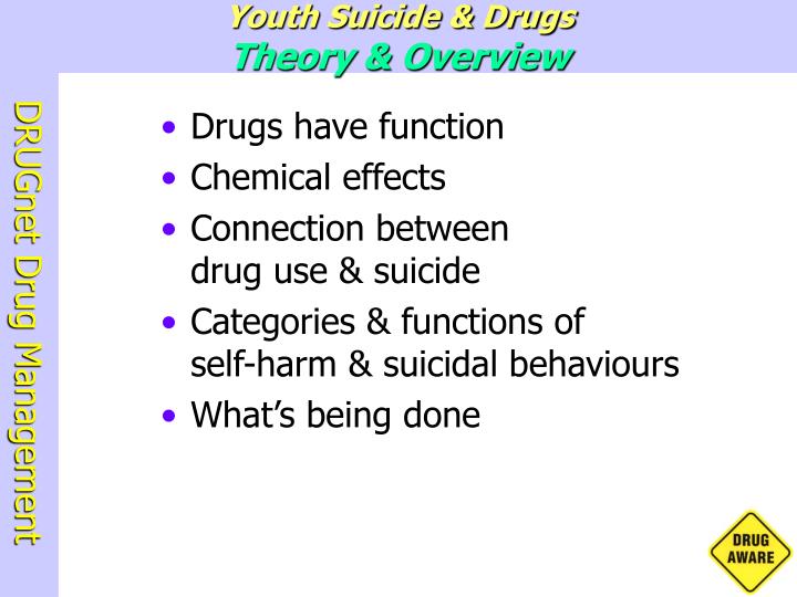 youth suicide drugs theory overview