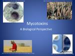 Mycotoxins