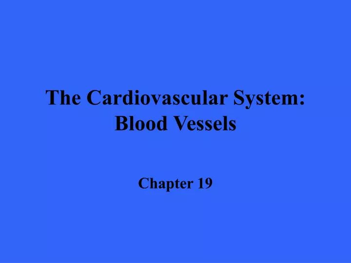 the cardiovascular system blood vessels