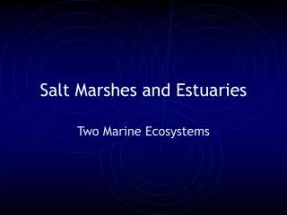 Salt Marshes and Estuaries