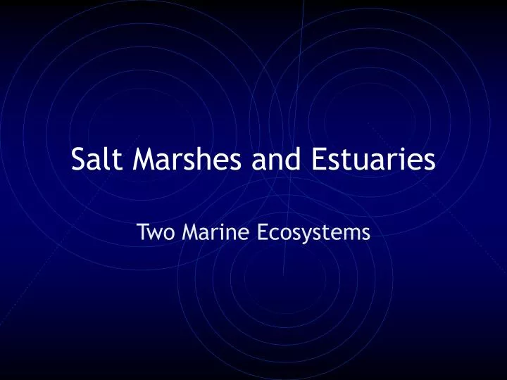 salt marshes and estuaries