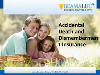 Accidental Death and Dismemberment Insurance
