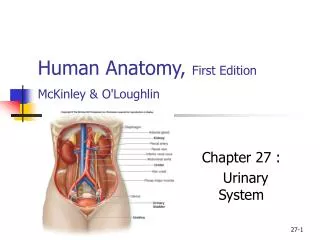 Human Anatomy, First Edition McKinley &amp; O'Loughlin