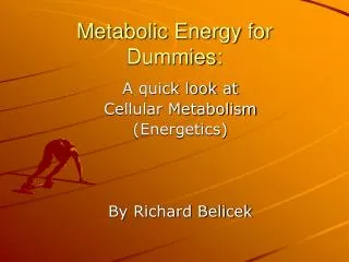 Metabolic Energy for Dummies: