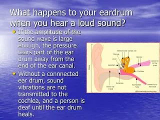 What happens to your eardrum when you hear a loud sound?