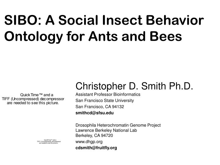sibo a social insect behavior ontology for ants and bees