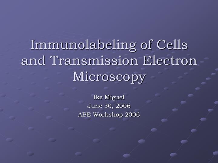 immunolabeling of cells and transmission electron microscopy