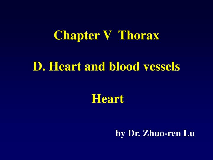 chapter v thorax