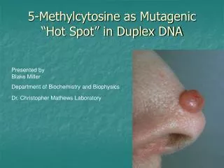 5-Methylcytosine as Mutagenic “Hot Spot” in Duplex DNA