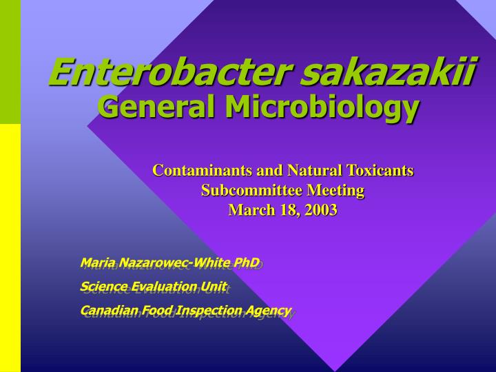 enterobacter sakazakii general microbiology