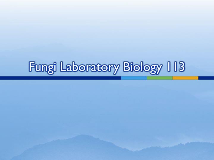 fungi laboratory biology 113