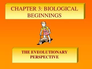 CHAPTER 3: BIOLOGICAL BEGINNINGS