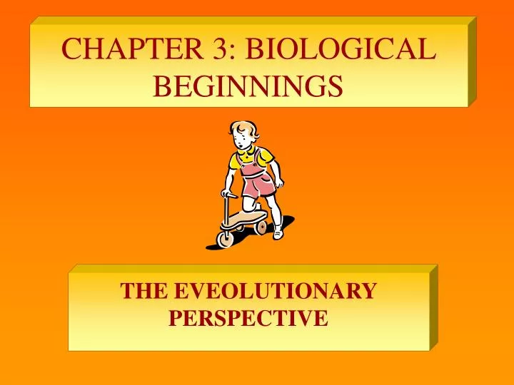 chapter 3 biological beginnings