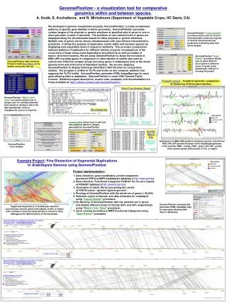 GenomePixelizer - a visualization tool for comparative