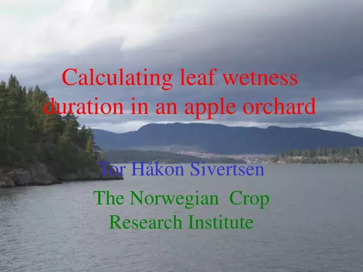 calculating leaf wetness duration in an apple orchard