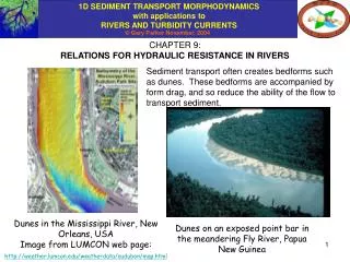CHAPTER 9: RELATIONS FOR HYDRAULIC RESISTANCE IN RIVERS