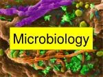 Microbiology - slide 1