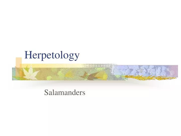 herpetology